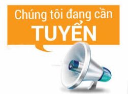 tuyển dụng việc làm